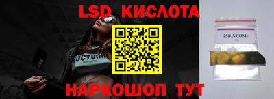 крисы Малгобек