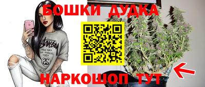 крисы Малгобек