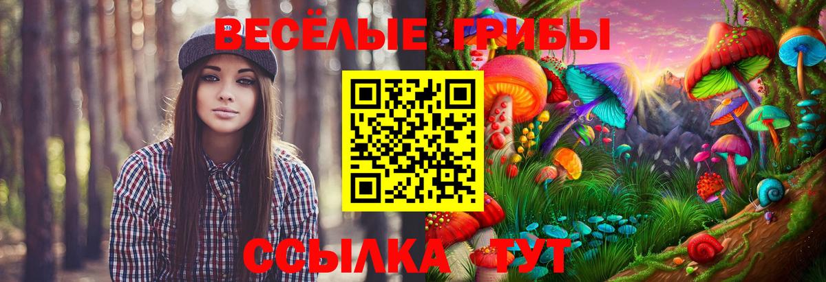 Великий Устюг  Псилоцибиновые грибы Magic Shrooms  Вход с VPN 