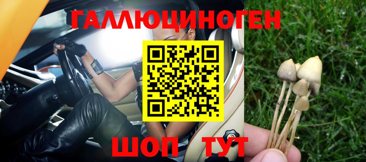 Галлюциногенные грибы Psilocybe Великий Устюг
